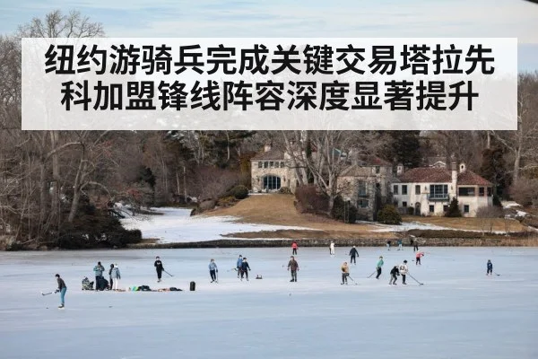 纽约游骑兵完成关键交易塔拉先科加盟锋线阵容深度显著提升