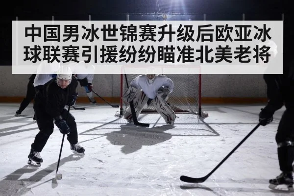 中国男冰世锦赛升级后欧亚冰球联赛引援纷纷瞄准北美老将