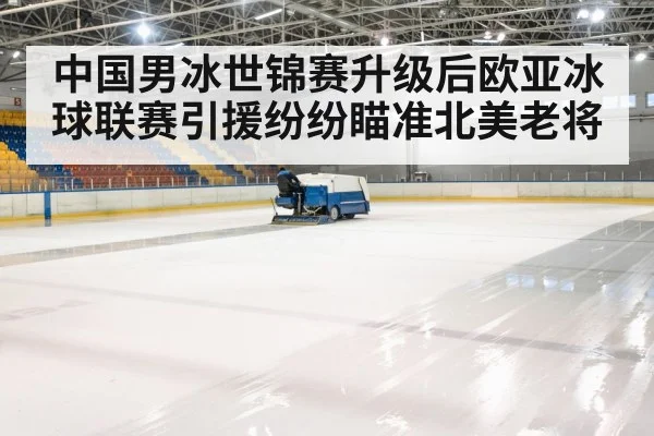 ice hockey arena